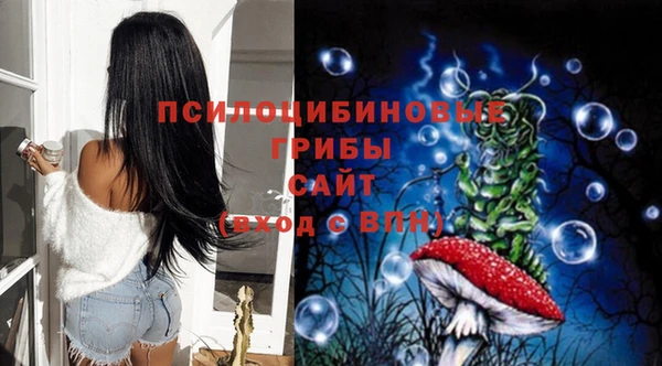 эйфоретик Нефтекумск