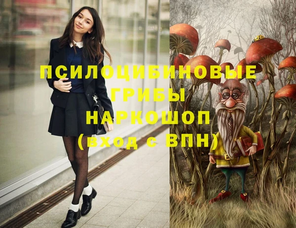 эйфоретик Нефтекумск