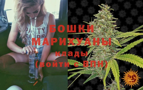 МДПВ Валдай