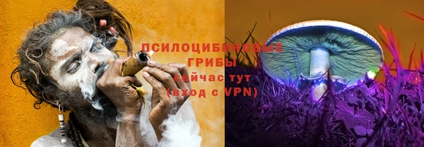 jwh Новозыбков